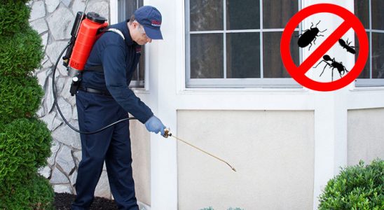 Yeniçağa Hamam Böceği İlaçlama böcek ilaçlama ve haşere kontrolü — ilaclama-tr.com